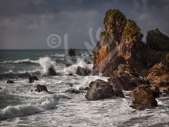NEW ZEALAND Kaipakati